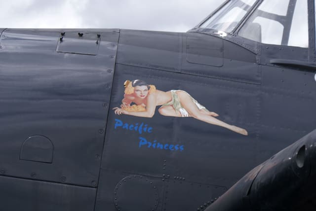 - Warbird