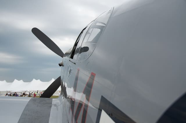 - Warbird