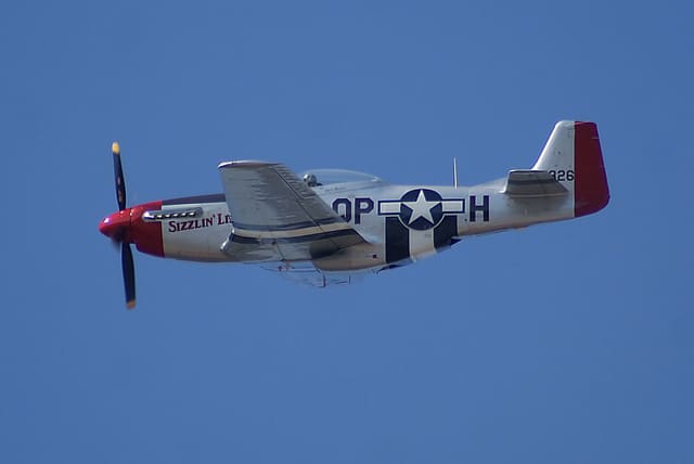 - Warbird