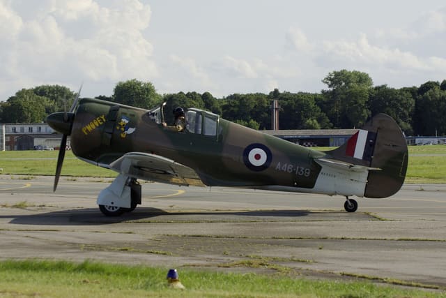 - Warbird