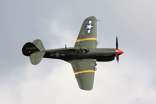 - Warbird