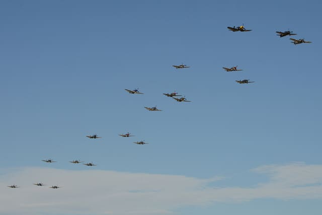 - Warbird