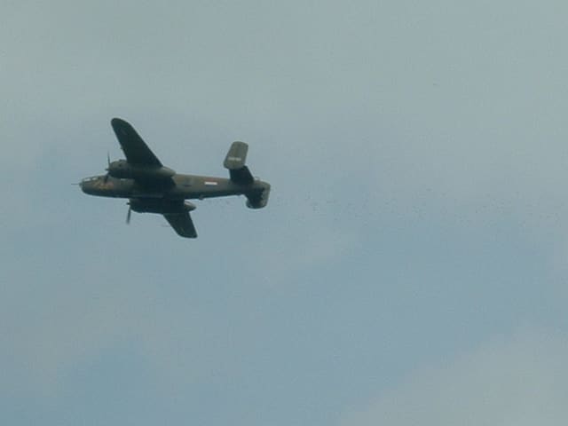 - Warbird