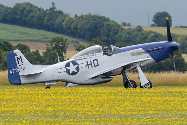 - Warbird