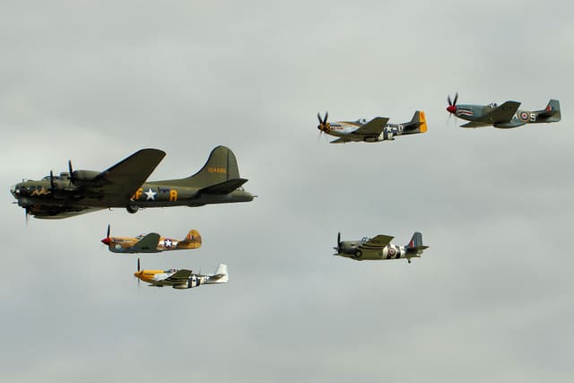 - Warbird