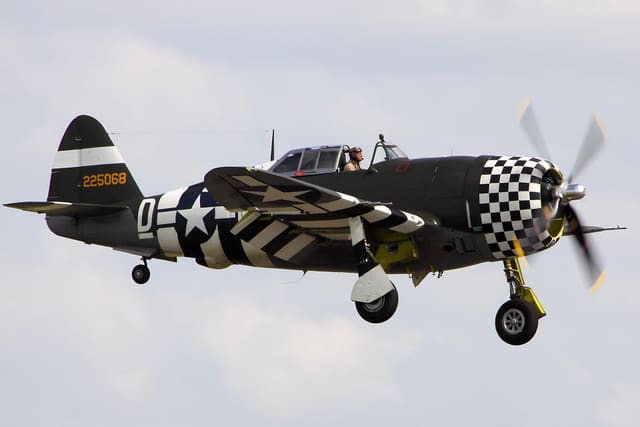 - Warbird