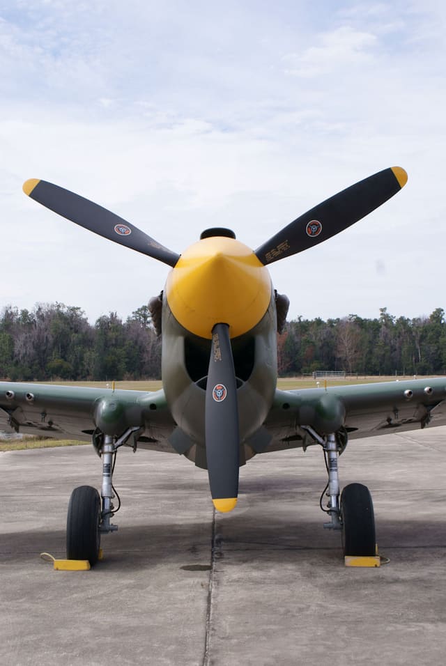 - Warbird