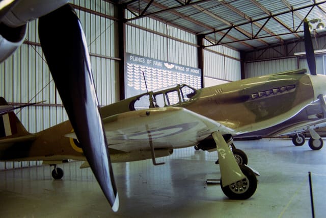- Warbird
