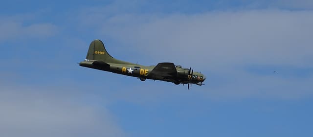 - Warbird