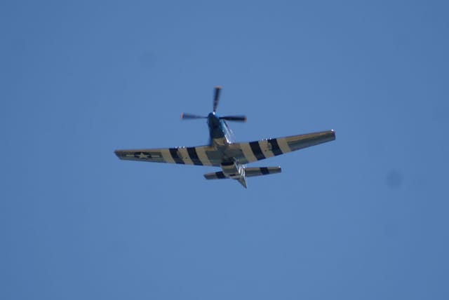 - Warbird
