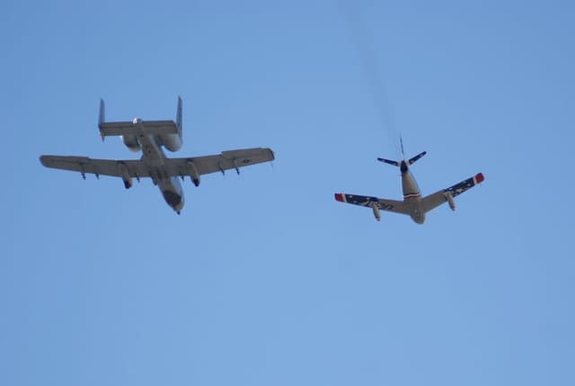 - Warbird