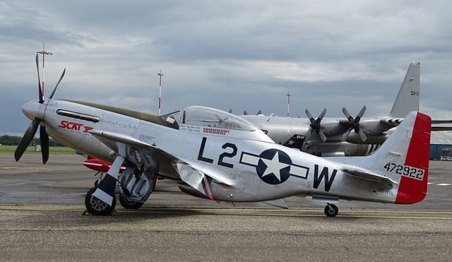 - Warbird
