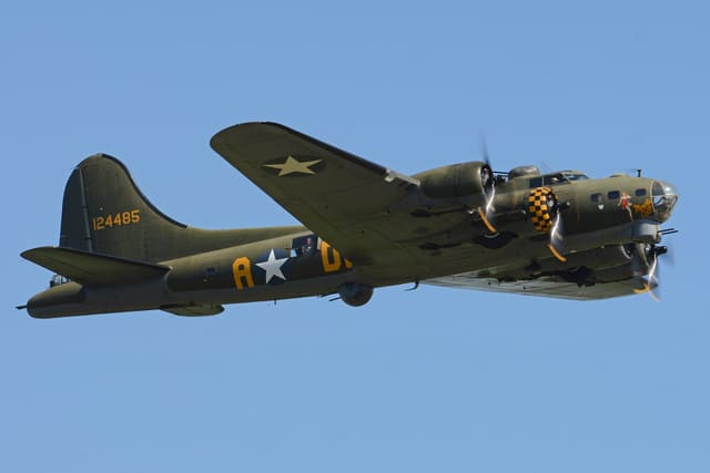 - Warbird