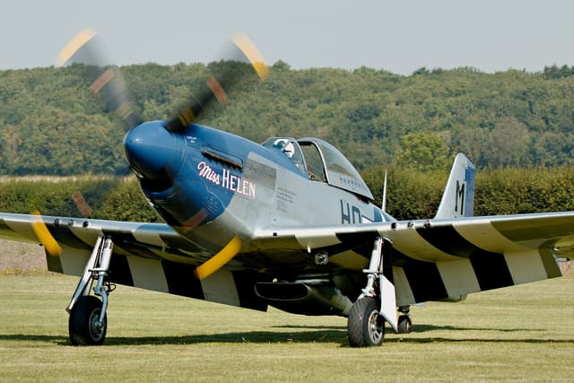 - Warbird