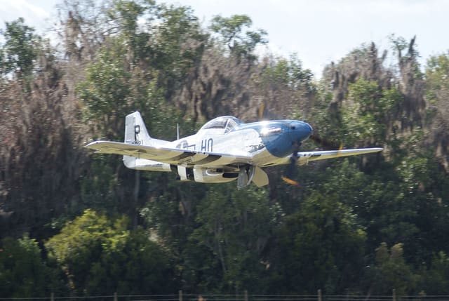 - Warbird