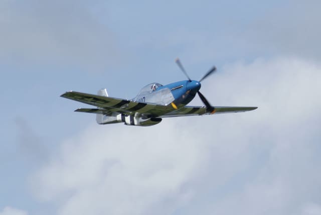 - Warbird