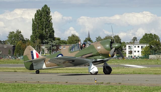 - Warbird