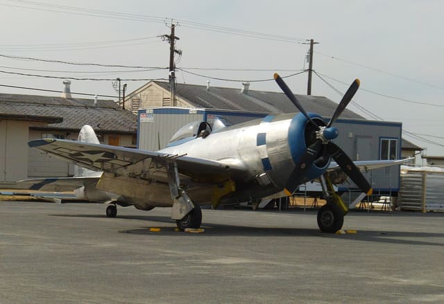 - Warbird