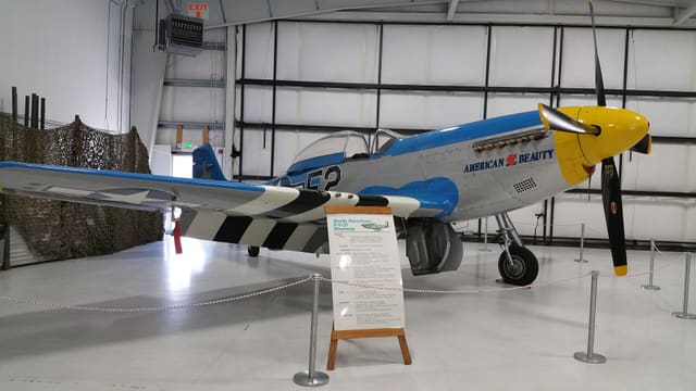 - Warbird