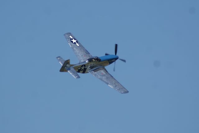 - Warbird