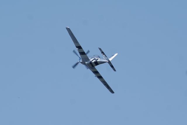 - Warbird