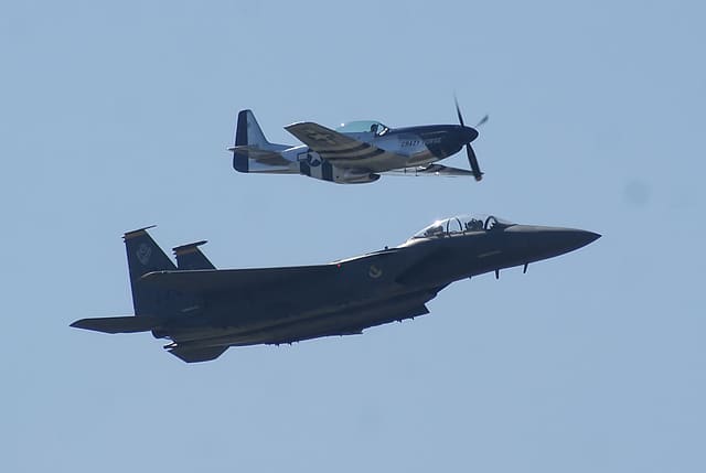 - Warbird