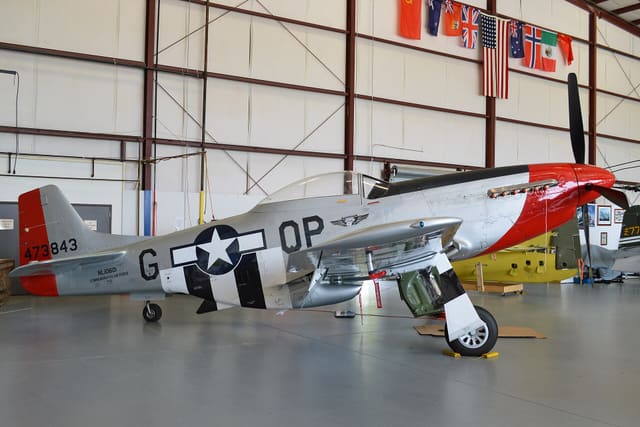 - Warbird