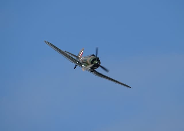 - Warbird
