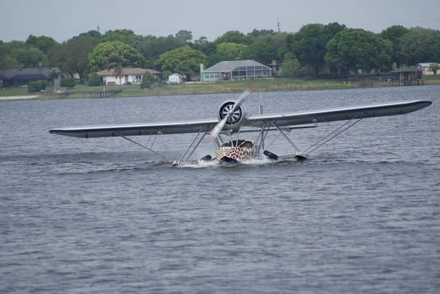 - Single-engine aircraft