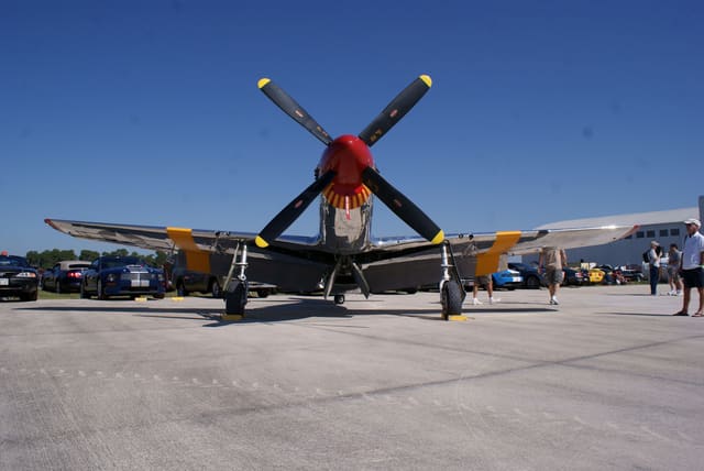 - Warbird