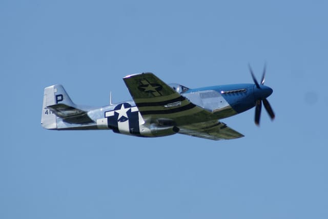- Warbird
