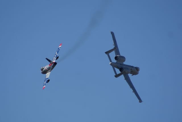 - Warbird