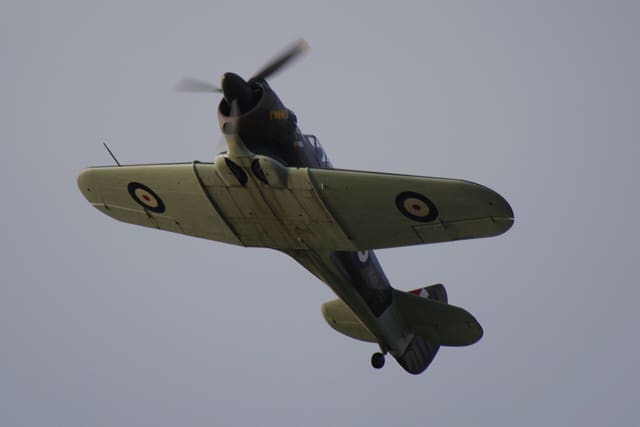 - Warbird