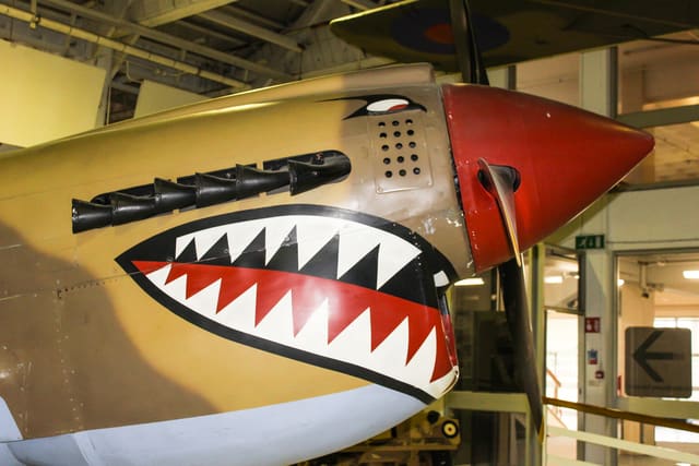- Warbird