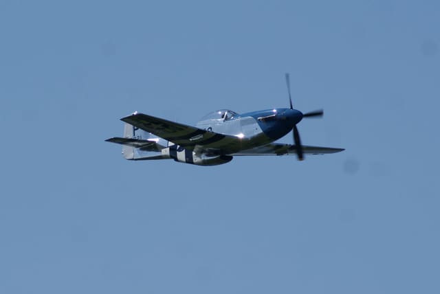 - Warbird
