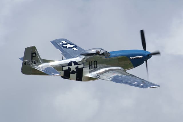 - Warbird
