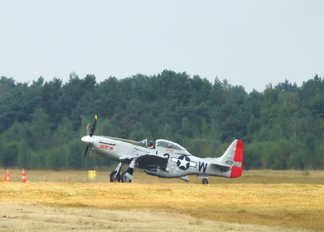 - Warbird