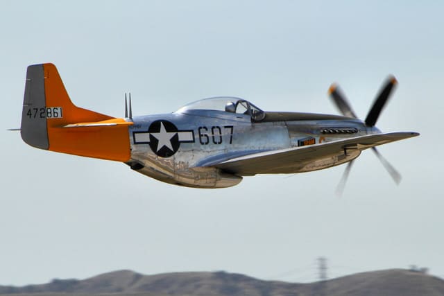 - Warbird