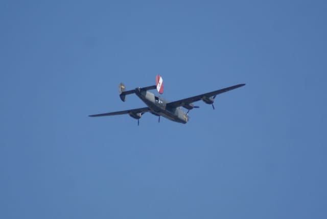 - Warbird