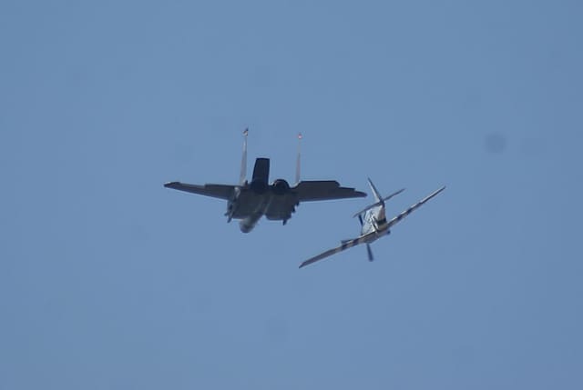 - Warbird