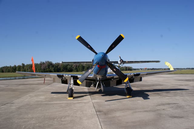 - Warbird