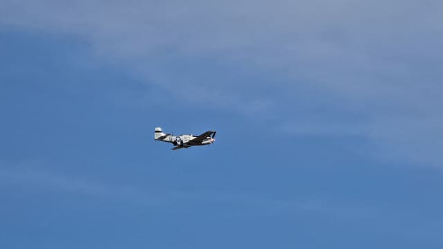 - Warbird