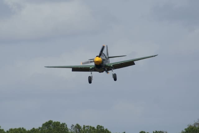 - Warbird