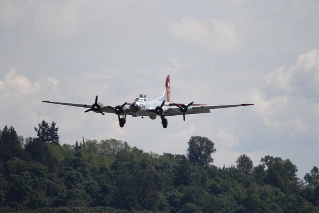 - Warbird
