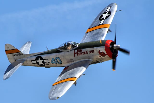 - Warbird