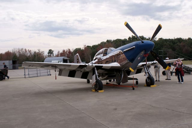 - Warbird