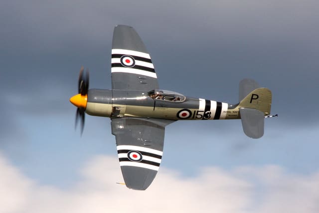 - Warbird