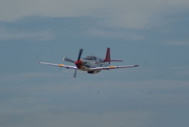 - Warbird