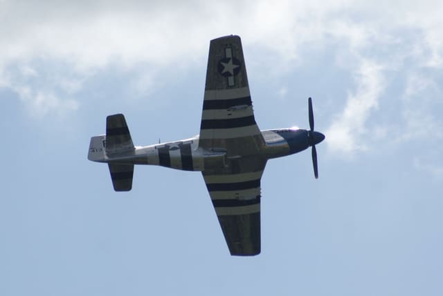 - Warbird