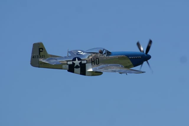 - Warbird